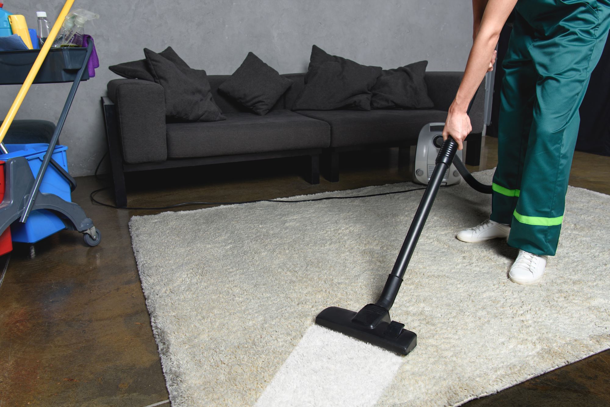 carpet cleaning seattle
