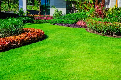 Let us beautify your Spanaway landscapes in WA near 98387